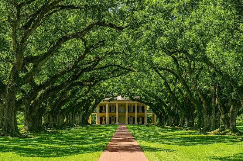 Best Bathroom Remodeling pros in Mandeville, LA